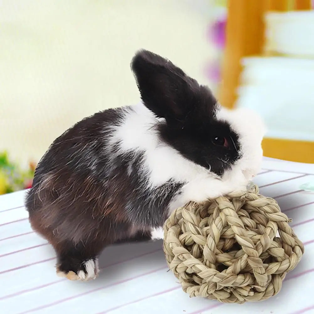 Straw Ball Toy