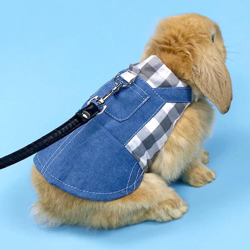 Tenue de veste en jean lapin