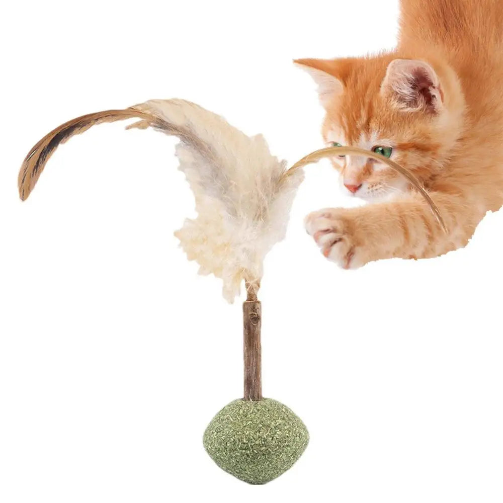 Silvervine Interactive Cat Chew Toy