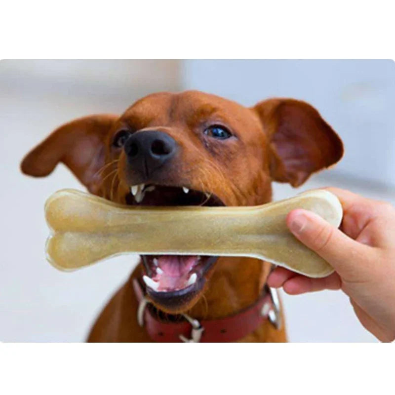 Durable Dog Chew Toys Cowhide Bones