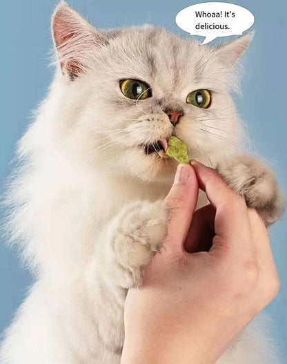 Cat mint cookies