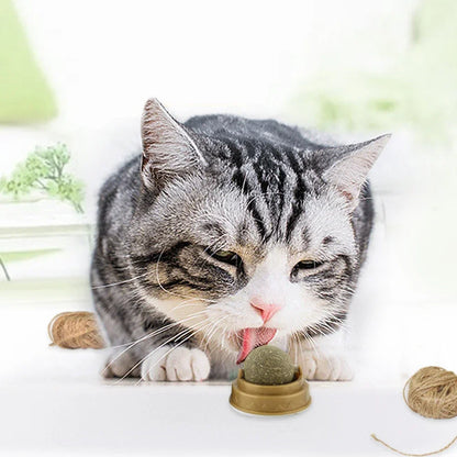 Boule d'herbe à chat comestible