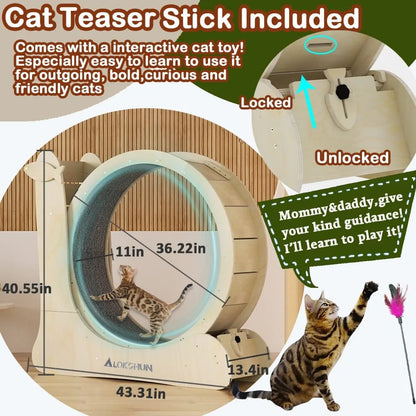 3 in 1 Cat Wheel Exerciser