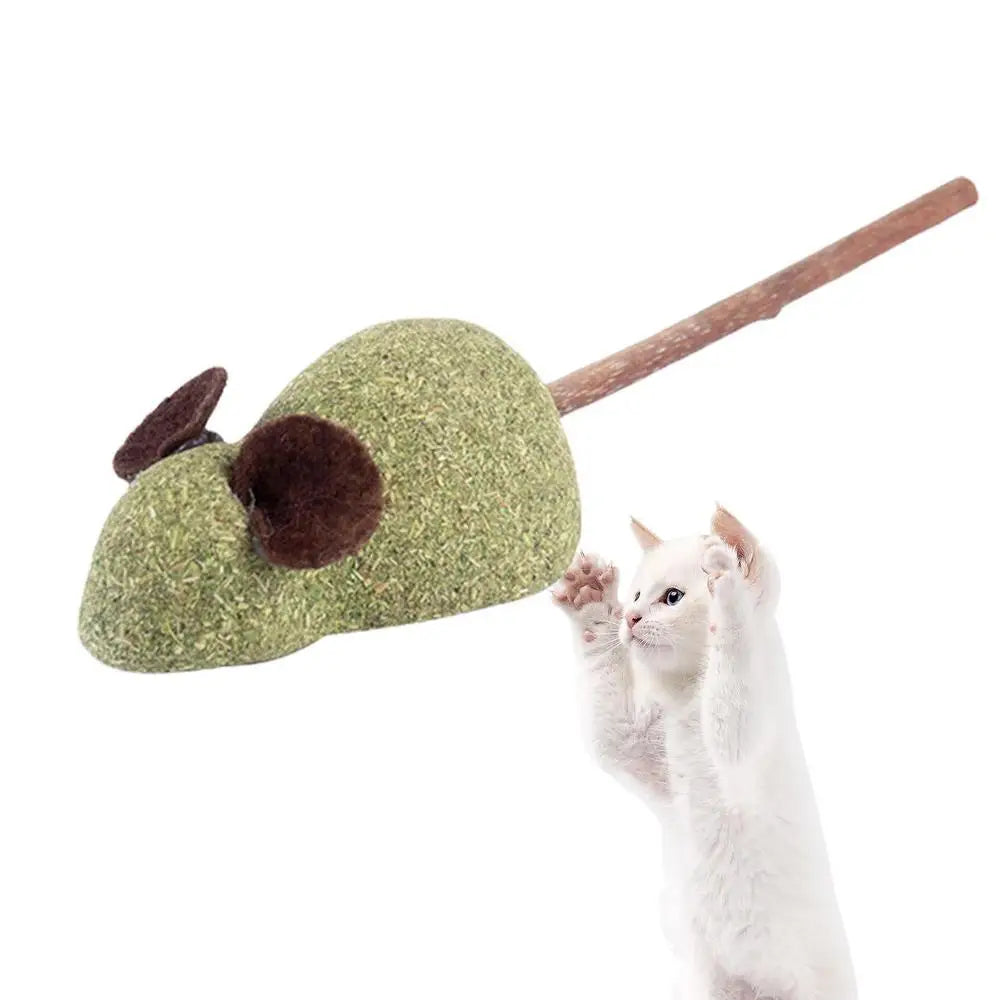 Silvervine Interactive Cat Chew Toy