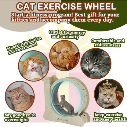 3 in 1 Cat Wheel Exerciser